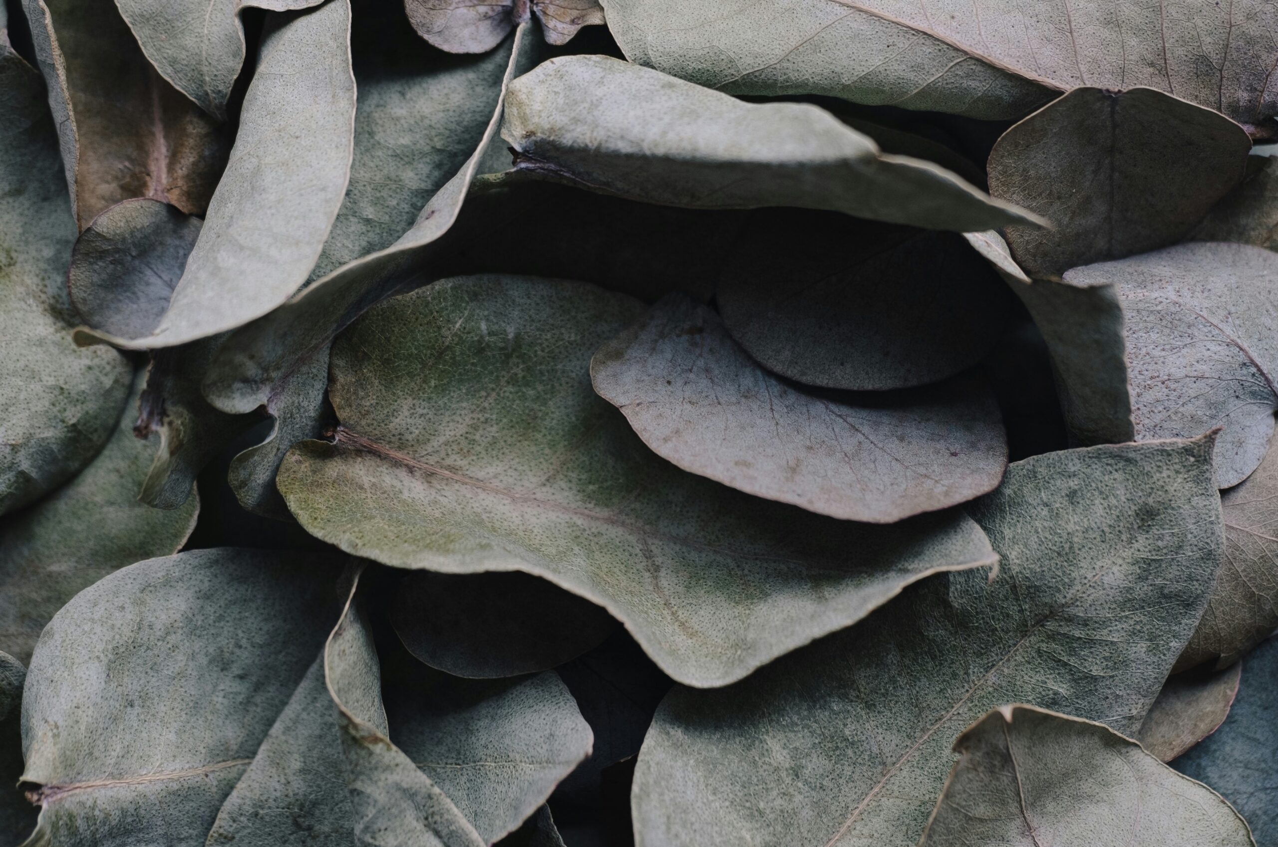 Illusory selves; the stories that run our lives and escaping them
